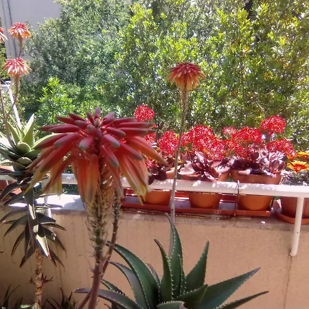 Guest house Rasputia