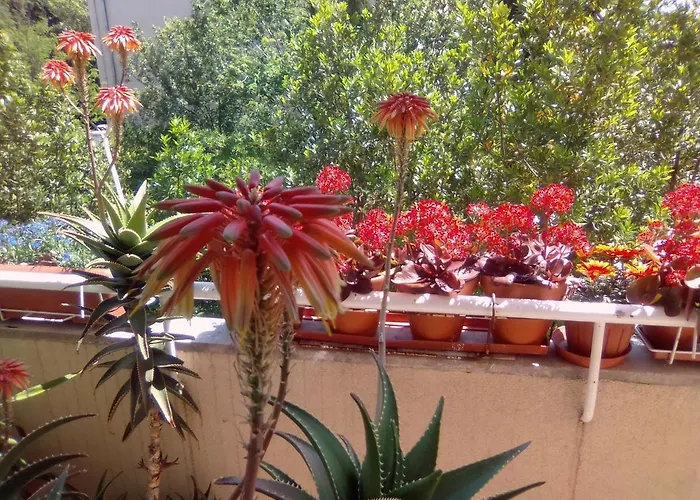 Vendégház Baba Lazanja